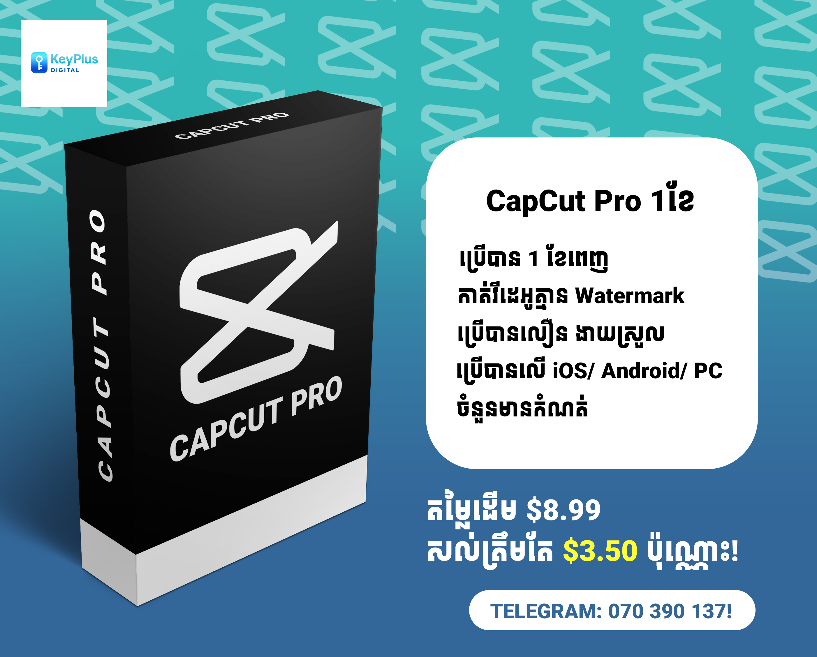 CapCut Pro